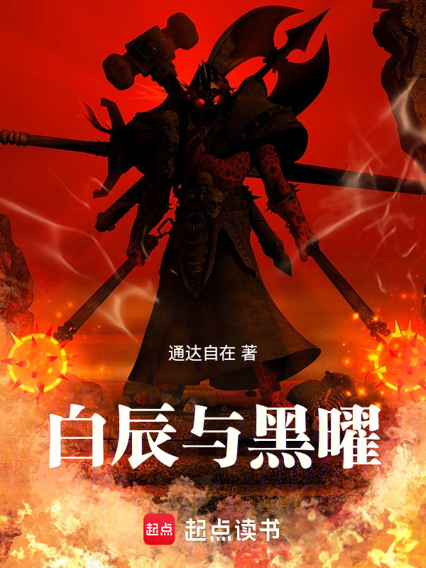 白辰与黑曜封面