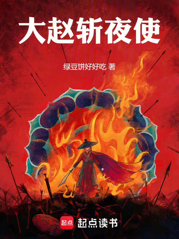 大赵斩夜使封面